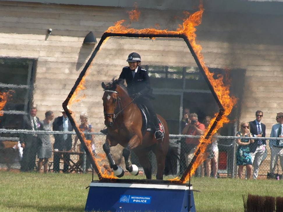 Mounted Police Display - Olympia Horse Show - Metropolitan Police Activity Ride